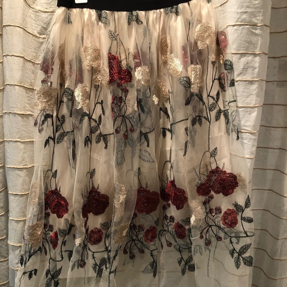 NWT Embroidered tulle skirt
